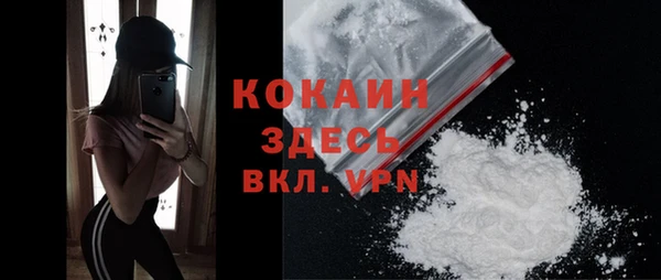 индика Аркадак