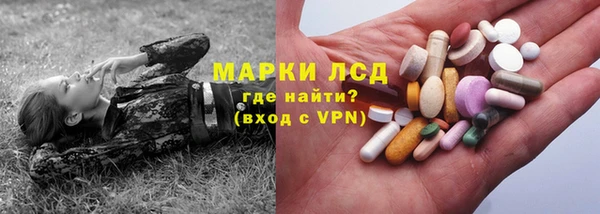 прущий лед Алзамай